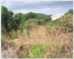  2024Ÿ��10985 ���� ���ֽ� �Ѹ��� ����� 1558-2      ����(��1)���