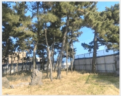  2024Ÿ12943  ֽ ﵿ 2296-2       ٸü,󰡰