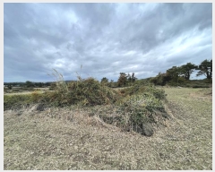  2024Ÿ��13397  �Ӿ߰��