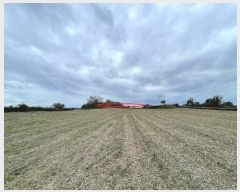  2024Ÿ��13397  �Ӿ߰��