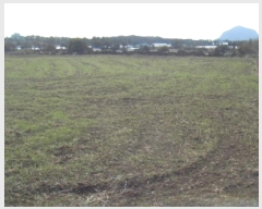  2024Ÿ��13397  �Ӿ߰��