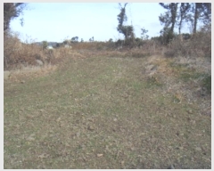  2024Ÿ��13397  �Ӿ߰��