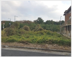  2024Ÿ13489     2463-1      ()