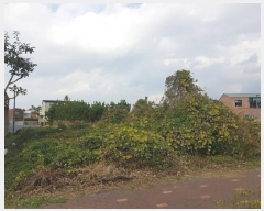  2024Ÿ13489     2463-1      ()