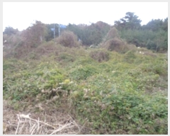  2024Ÿ13489     2463-1      ()