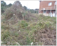  2024Ÿ13489     2463-1      ()