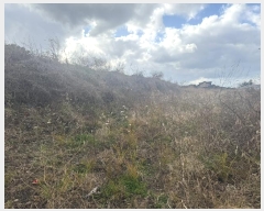  2024Ÿ��13755  �����