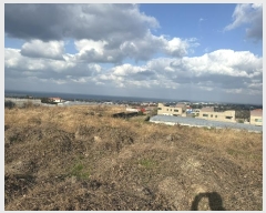  2024Ÿ��13755  �����