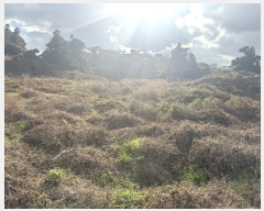  2024Ÿ��13755  �����