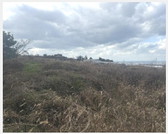  2024Ÿ��13755  �����