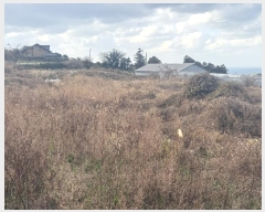  2024Ÿ��13755  �����