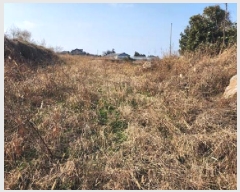  2024Ÿ��13755  �����