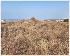  2024Ÿ��13755  �����