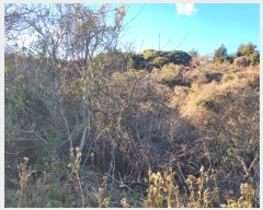  2024Ÿ13830    Ϸʸ 1848      ()