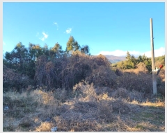  2024Ÿ13830    Ϸʸ 1848      ()