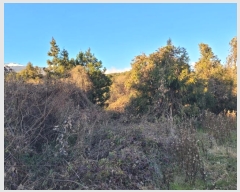  2024Ÿ13830    Ϸʸ 1848      ()