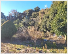  2024Ÿ13830    Ϸʸ 1848      ()