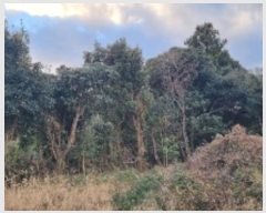  2024Ÿ13830    Ϸʸ 1848      ()