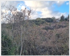  2024Ÿ13830    Ϸʸ 1848      ()