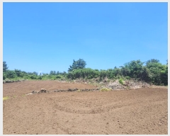  2024Ÿ��27402 ���� ���ֽ� ������ ����� 991      ����(�Ӿ�)���