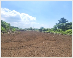  2024Ÿ��27402 ���� ���ֽ� ������ ����� 991      ����(�Ӿ�)���