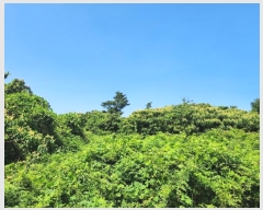  2024Ÿ��27402 ���� ���ֽ� ������ ����� 991      ����(�Ӿ�)���