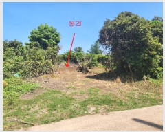  2024Ÿ��27402 ���� ���ֽ� ������ ����� 991      ����(�Ӿ�)���