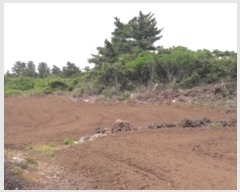  2024Ÿ��27402 ���� ���ֽ� ������ ����� 991      ����(�Ӿ�)���