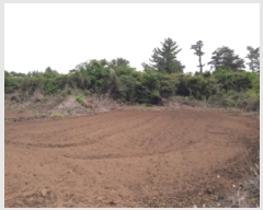  2024Ÿ��27402 ���� ���ֽ� ������ ����� 991      ����(�Ӿ�)���