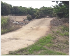  2024Ÿ��27402 ���� ���ֽ� ������ ����� 991      ����(�Ӿ�)���