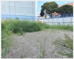  2024Ÿ31814  ֽ ﵵ̵ 801-1       ()