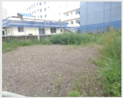  2024Ÿ31814  ֽ ﵵ̵ 801-1       ()