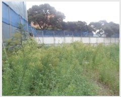  2024Ÿ31814  ֽ ﵵ̵ 801-1       ()