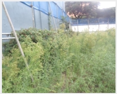  2024Ÿ31814  ֽ ﵵ̵ 801-1       ()