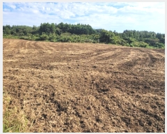  2024Ÿ32084   ȴ  95      (1)