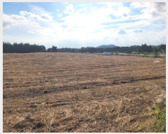  2024Ÿ32084   ȴ  95      (1)