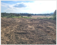  2024Ÿ32084   ȴ  95      (1)