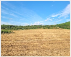  2024Ÿ32084   ȴ  95      (1)