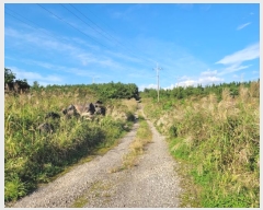  2024Ÿ32084   ȴ  95      (1)