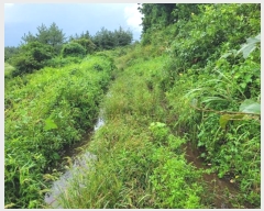  2024Ÿ32084   ȴ  95      (1)