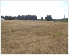  2024Ÿ32084   ȴ  95      (1)