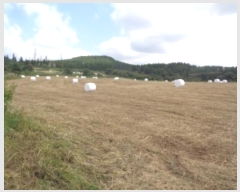  2024Ÿ32084   ȴ  95      (1)