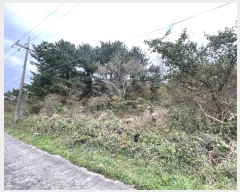  2024Ÿ35441  ֽ  69-15       (Ӿ)