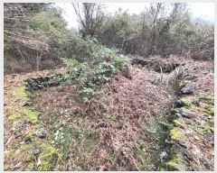  2024Ÿ35441  ֽ  69-15       (Ӿ)