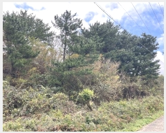  2024Ÿ35441  ֽ  69-15       (Ӿ)