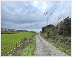  2024Ÿ35441  ֽ  69-15       (Ӿ)