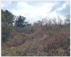  2024Ÿ35441  ֽ  69-15       (Ӿ)