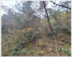  2024Ÿ35809  ֽ  õ 63-3      (Ӿ)