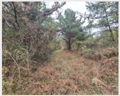  2024Ÿ35809  ֽ  õ 63-3      (Ӿ)