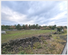  2024Ÿ35809  ֽ  õ 63-3      (Ӿ)